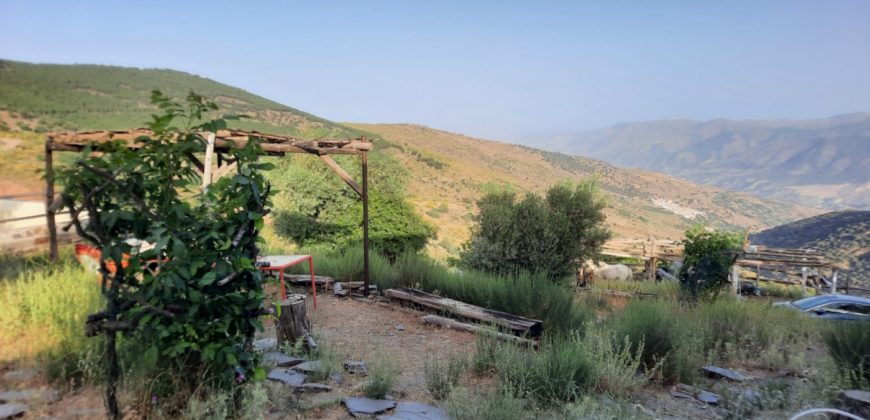 Cortijo adaptado a Hostal Rural con gran terreno en Alpujarra de la Sierra